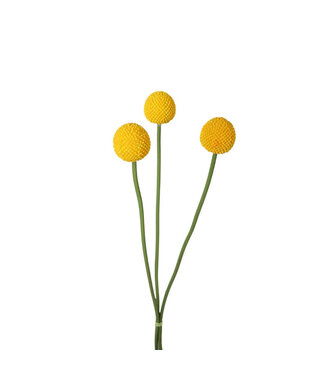4A Gelbe Craspedia globosa Kunstblumen | Länge 55 Zentimeter | Pro 6 Stück