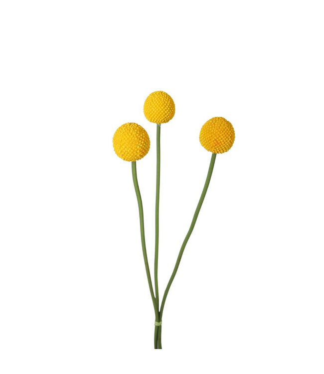 Yellow Craspedia globosa artificial flowers | Length 55 centimetres | Order 6 pieces