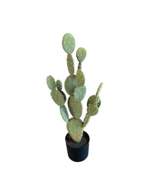 4A Green Catus artificial plant in pot | Size 18 x 71 centimetres | Per piece