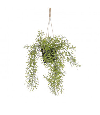 4A Plante artificielle Rhipsalis verte suspendue | Diamètre 20 centimètres | Longueur 40 centimètres | Par 6 pièces