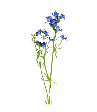 4A Kunstbloemen Delphinium  85cm ( x 6 )