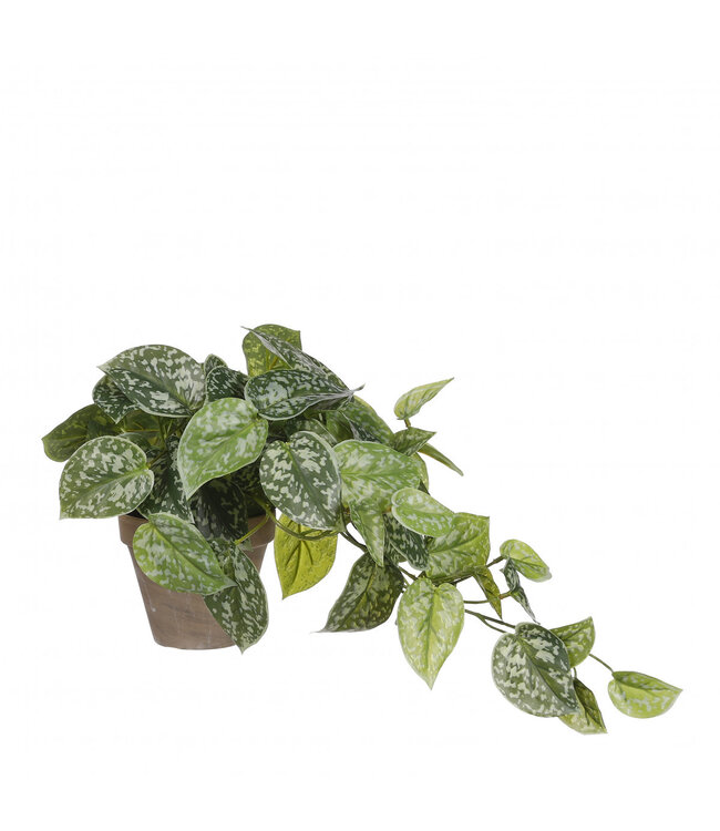 Green Epipremnum artificial plant in pot | Size 11 x 17 x 44 centimetres | Ordered by 4 pieces