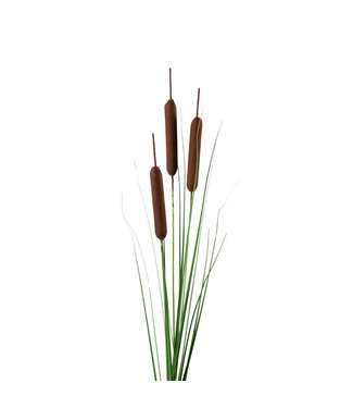 4A Plante artificielle quenouille brune | Longueur 119 centimètres | Par 6 pièces