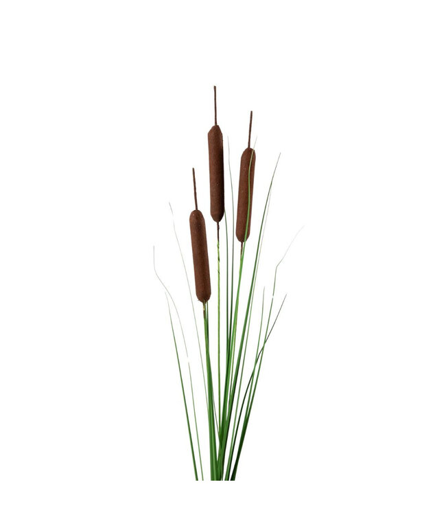 Plante artificielle quenouille brune | Longueur 119 centimètres | Commandée par 6 pièces
