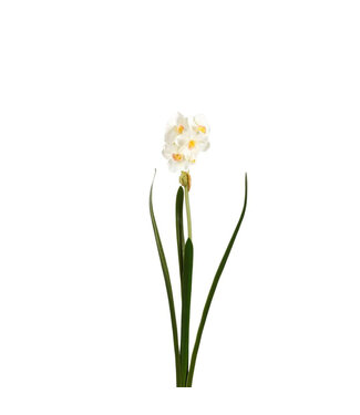 4A Weiße Narzisse Kunstblumen | Länge 41 Zentimeter | Pro 6 Stück