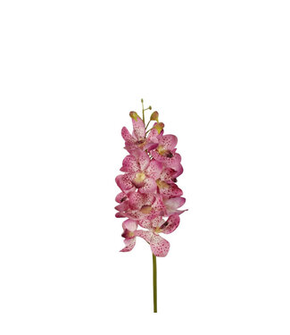 4A Fuchsiafarbene Orchidee Vanda Kunstblumen | Länge 70 cm | 4 Stück