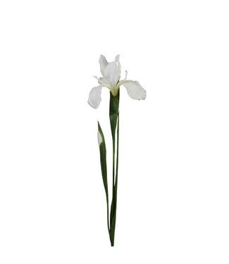 4A Kunstbloemen Iris 75cm | Per 12 stuks