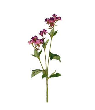 4A Kunstbloemen Astrantia 50cm | Per 12 stuks