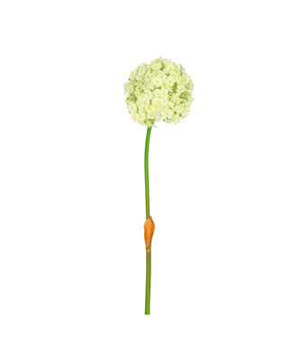 4A Kunstbloemen Allium 82cm | Per 4 stuks