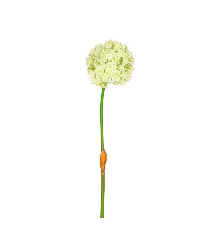 Kunstbloemen Allium 82cm ( x 4 )