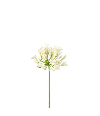 4A Kunstbloemen Agapanthus 75cm | Per 6 stuks