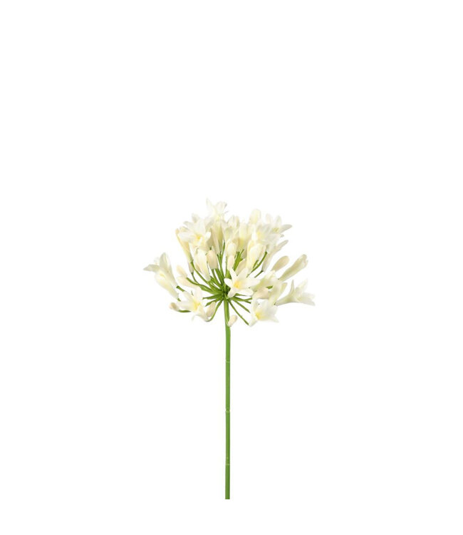 Kunstbloemen Agapanthus 75cm ( x 6 )