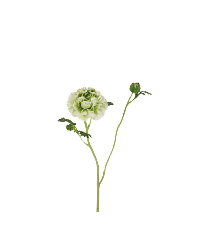 Light green Ranunculus artificial flowers | Length 67 centimetres | Order 6 pieces