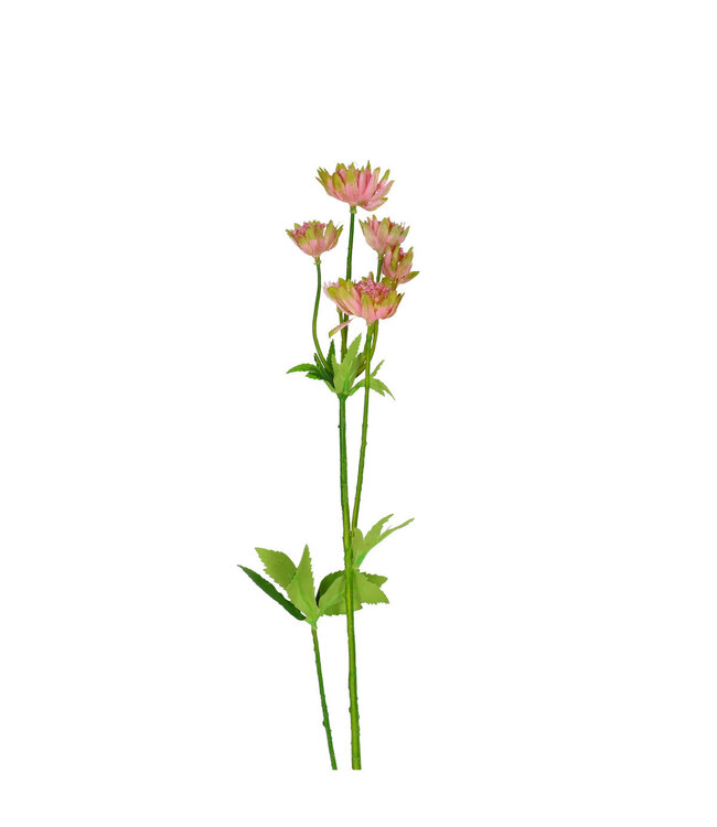 Kunstbloemen Astrantia 64cm | Per 4 stuks te bestellen