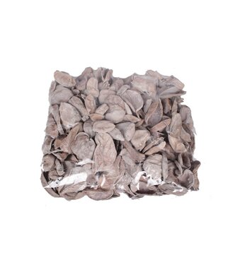 QC Land lotus petal | Gewicht 500 gram r in poly Frosted White | Per 4 stuks