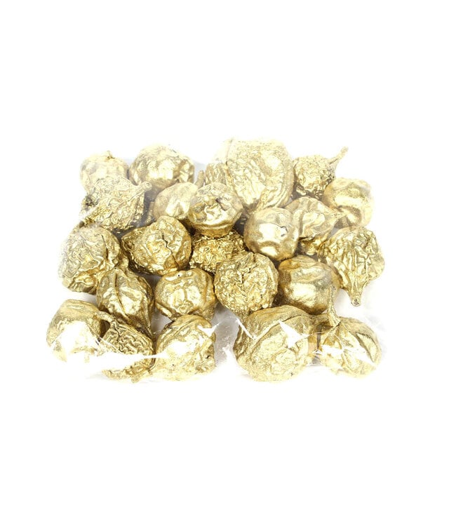 Liverfruit 400gr in poly Gold | Per 4 stuks te bestellen