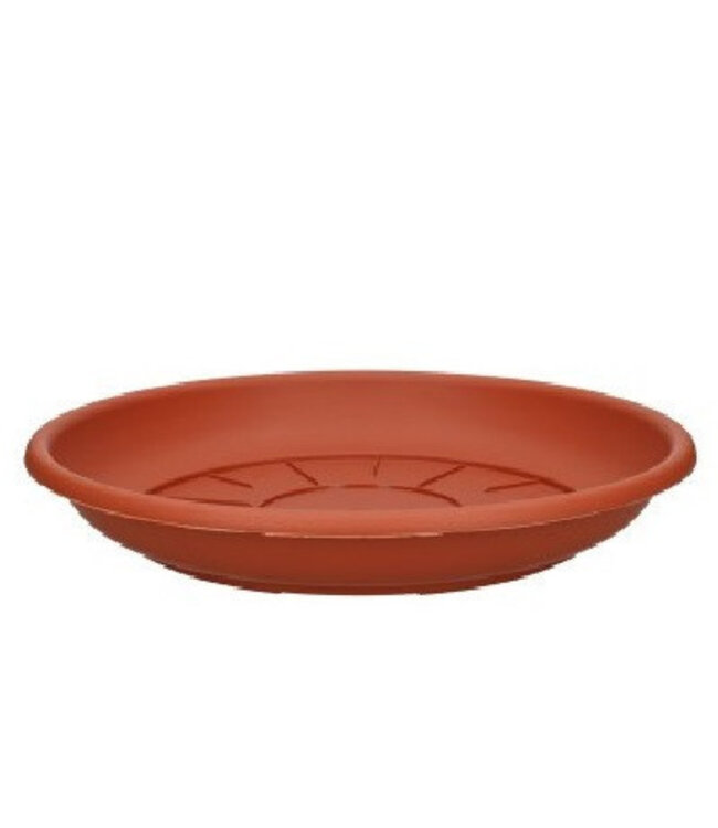 Kunststof Waterschotel 30cm ( x 10 )