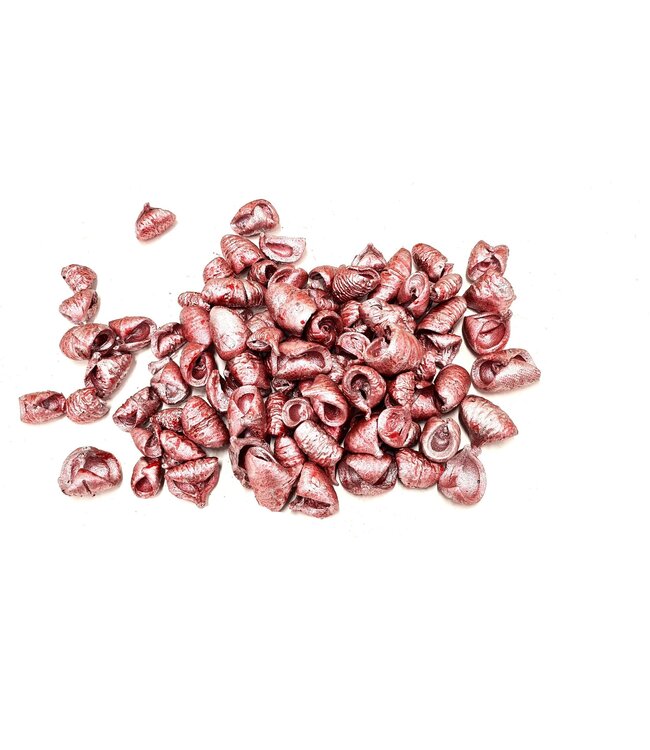 Lansunia petal 500gr in poly Metallic Antique Red ( x 4 )