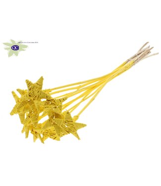 QC Lata Star on stem Covered Yellow | Per 50 stuks