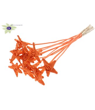 QC Lata Star on stem Covered Orange | Per 50 stuks