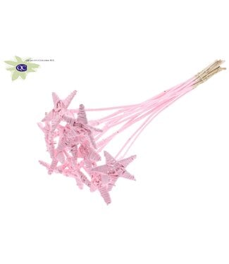 QC Lata Star on stem Covered Light Pink | Per 50 stuks