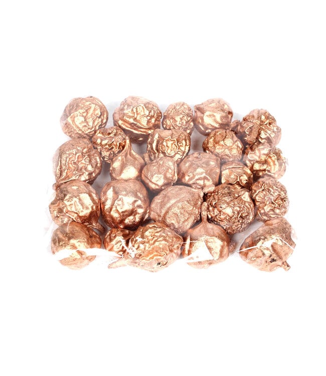 Liverfruit 400gr in poly Copper | Per 4 stuks te bestellen