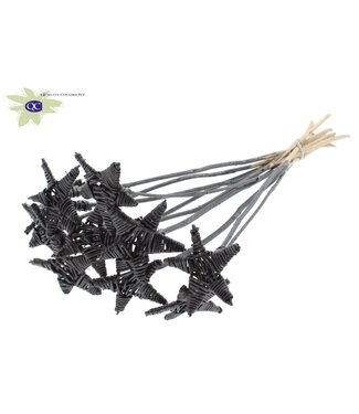 QC Lata Star on stem Metallic Graphite | Per 50 stuks