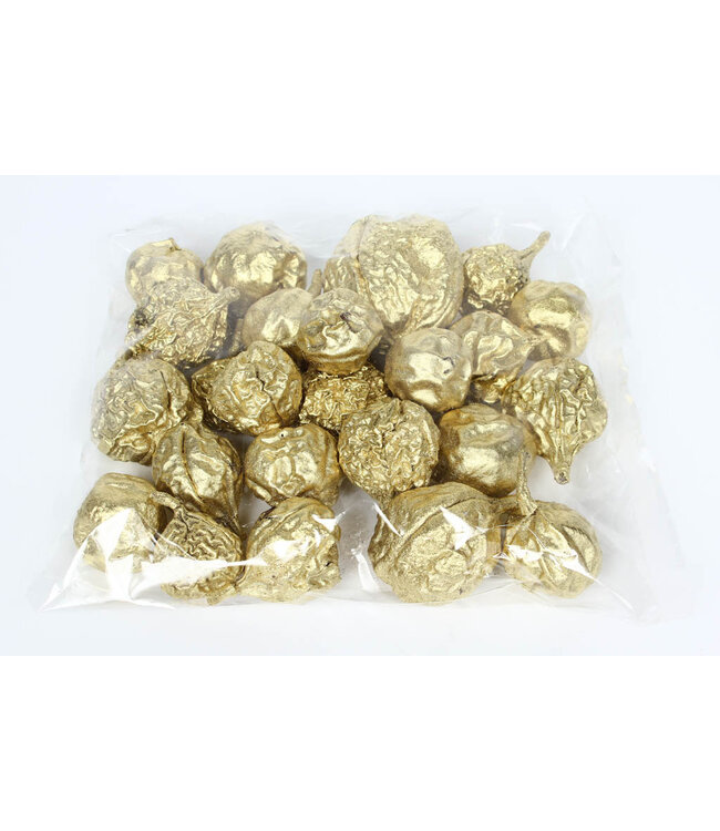 Liverfruit 400gr in poly Gold | Per 16 stuks te bestellen