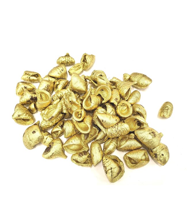 Lansunia petal 500gr in poly Gold | Per 4 stuks te bestellen