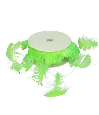 4A Ruban plume vert pomme | Longueur 9 mètres | Par pièce