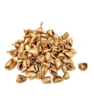 QC Lansunia petal 500gr in poly Antique Gold | Per 4 stuks