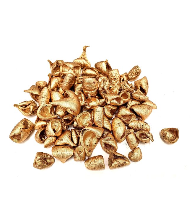 Lansunia petal 500gr in poly Antique Gold | Per 4 stuks te bestellen