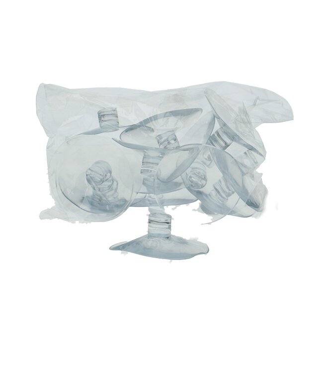 Transparent Oasis suction cup | Diameter 63 millimetres | Available to order in sets of 15