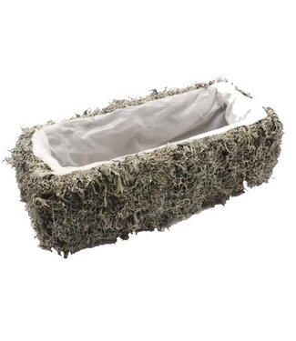 QC Planter Grey Moss Rectangular L35 cm B15cm | Per 2 stuks