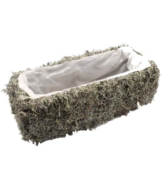 Planter Grey Moss Rectangular L35 cm B15cm | Per 2 stuks te bestellen