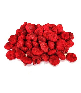 QC Paras peepal (500gr in poly) Red | Per 4 stuks