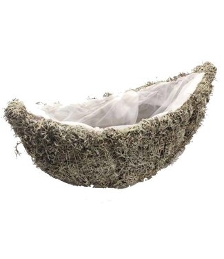 QC Planter Grey moss Oval  40cm B14cm Natural | Per 2 stuks