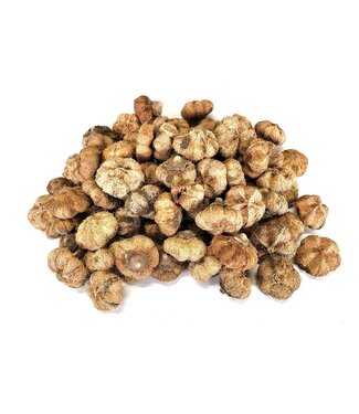 QC Paras peepal (500gr in poly)  Natural | Per 4 stuks