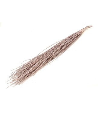 QC Podisiri branches 60-70 centimeter p.pc Champagne + Glitter | Per 8 stuks
