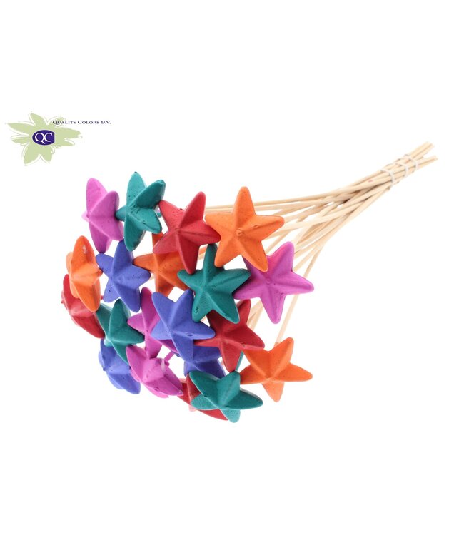 Styro Star hat type on stem Mixed Colours ( x 50 )