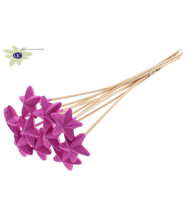 Styro Star hat type on stem Cerise | Per 50 stuks te bestellen