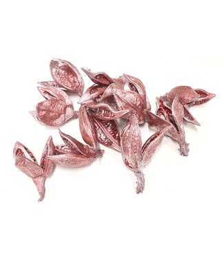 QC Sororoca penca flower 10pcs in poly Metallic Antique Red ( x 4 )