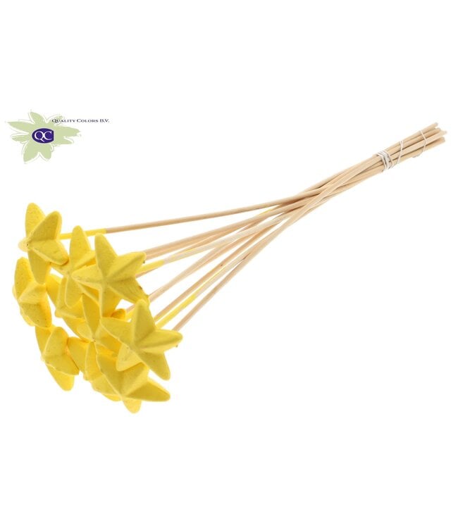 Styro Star hat type on stem Yellow | Per 50 stuks te bestellen