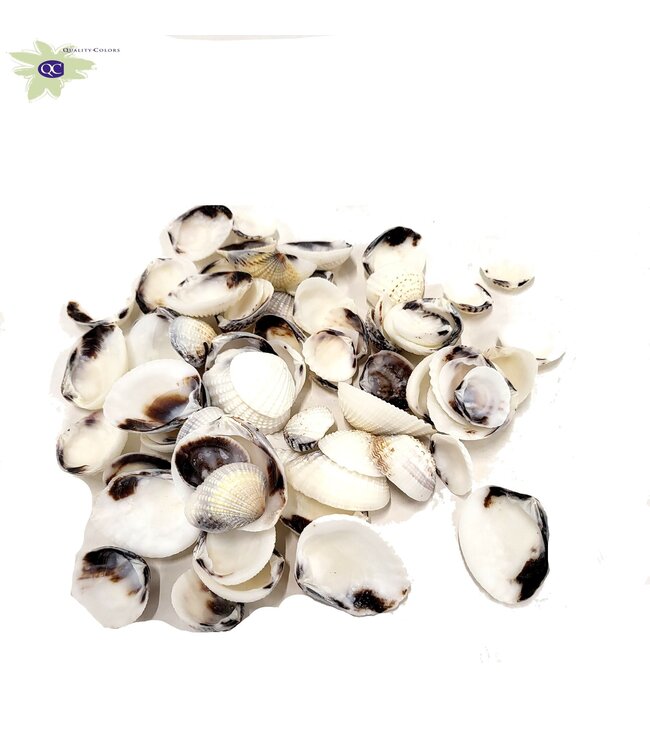 Karandai Chippy seashells in bag | Weight 1 kilogram | Order per 2 bags