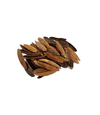 QC Trangular pod Gewicht 250 gramr in poly Natural | Per 4 stuks