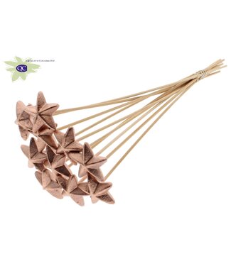 QC Styro Star hat type on stem Copper | Per 50 stuks