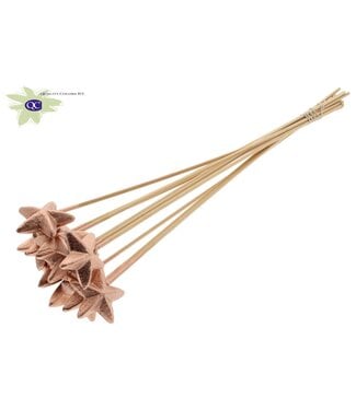 QC Styro Star flat type on stem Copper | Per 50 stuks