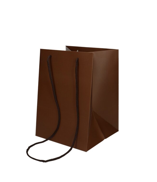 Brown bags Olympic | Size 25 x 18 x 18 centimetres | Available to order in sets of 10