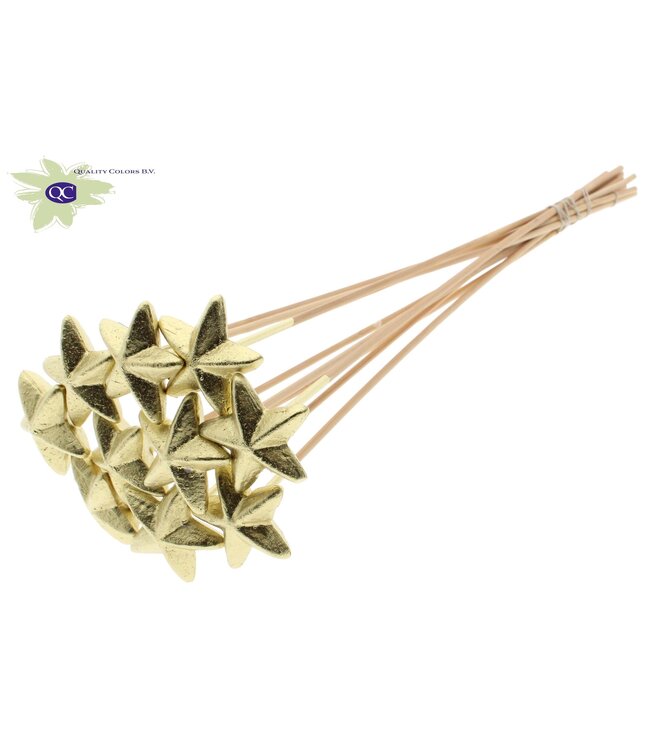 Styro Star hat type on stem Gold | Per 50 stuks te bestellen