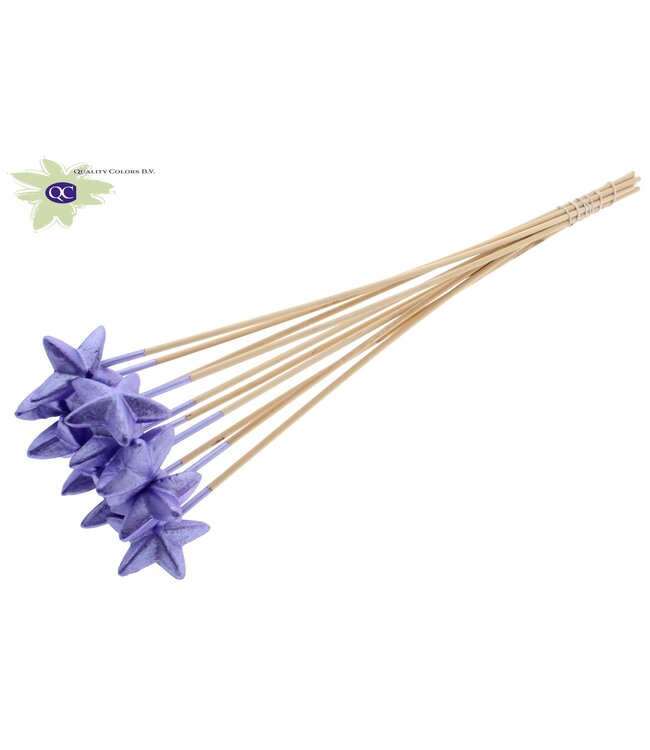 Styro Star flat type on stem Metallic Purple | Per 50 stuks te bestellen